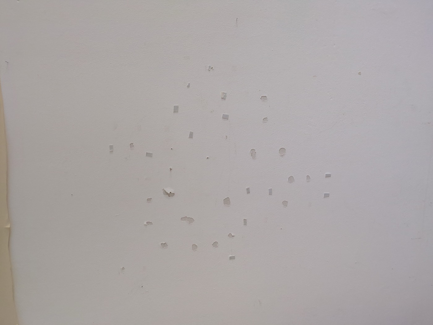 The constellation of small paint chips and flaked spots on your wall